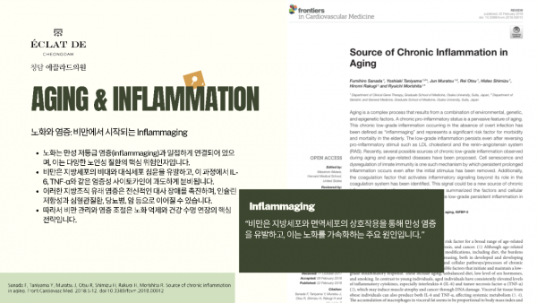 thumb-3547142071_1760929271.4545_600x338.png