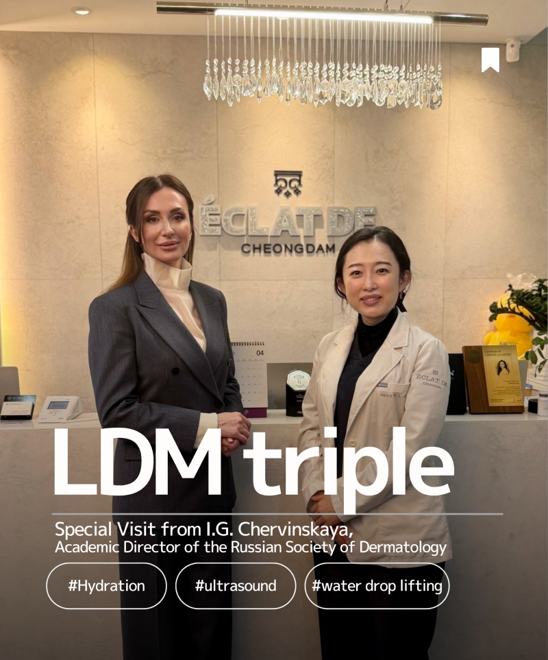 LDM.png